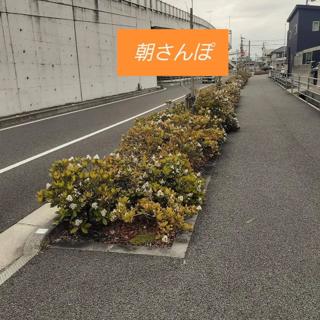 今日は余戸駅周辺をお散歩。