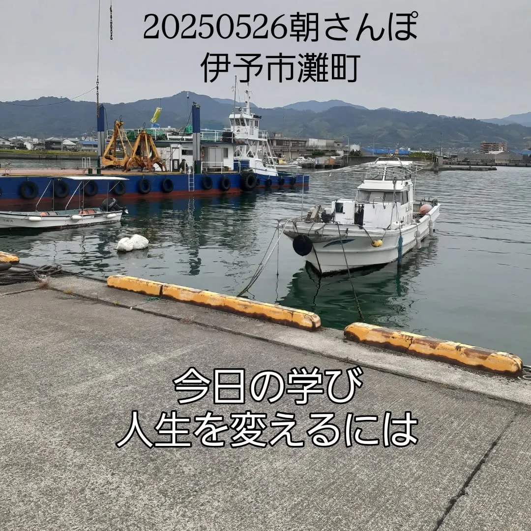 伊予市灘町を朝さんぽ