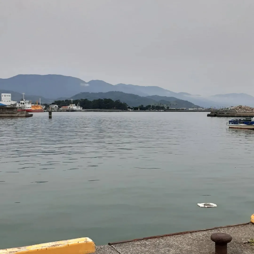 伊予市灘町を朝さんぽ