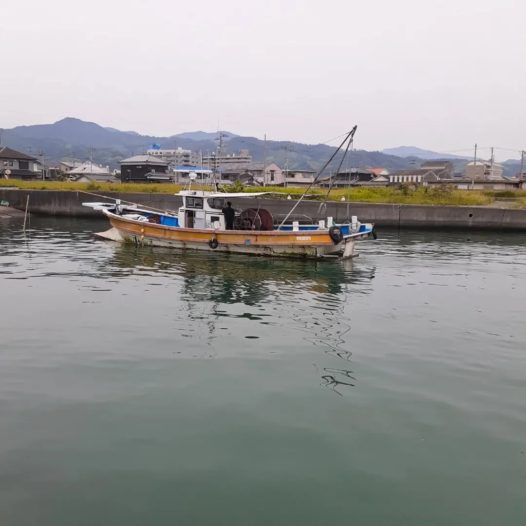 伊予市灘町を朝さんぽ