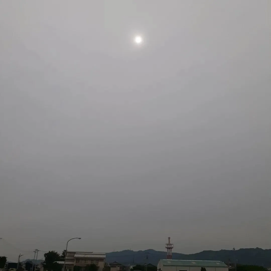 伊予市灘町を朝さんぽ