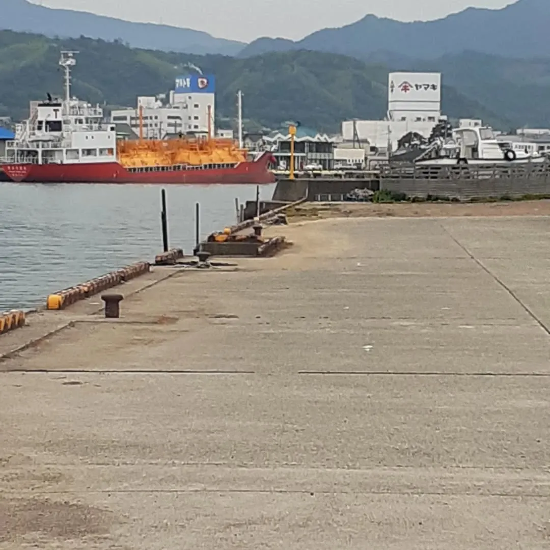 伊予市灘町を朝さんぽ