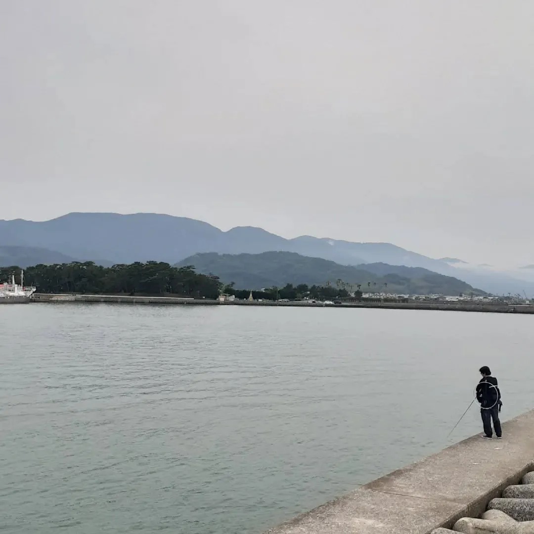 伊予市灘町を朝さんぽ