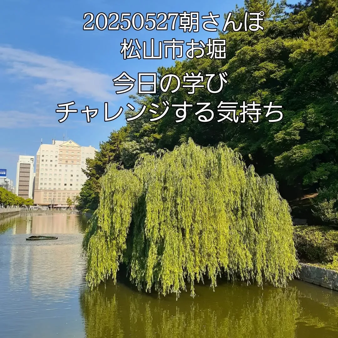 松山市のお堀を朝さんぽ