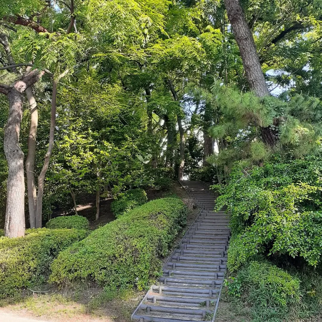松山市のお堀を朝さんぽ
