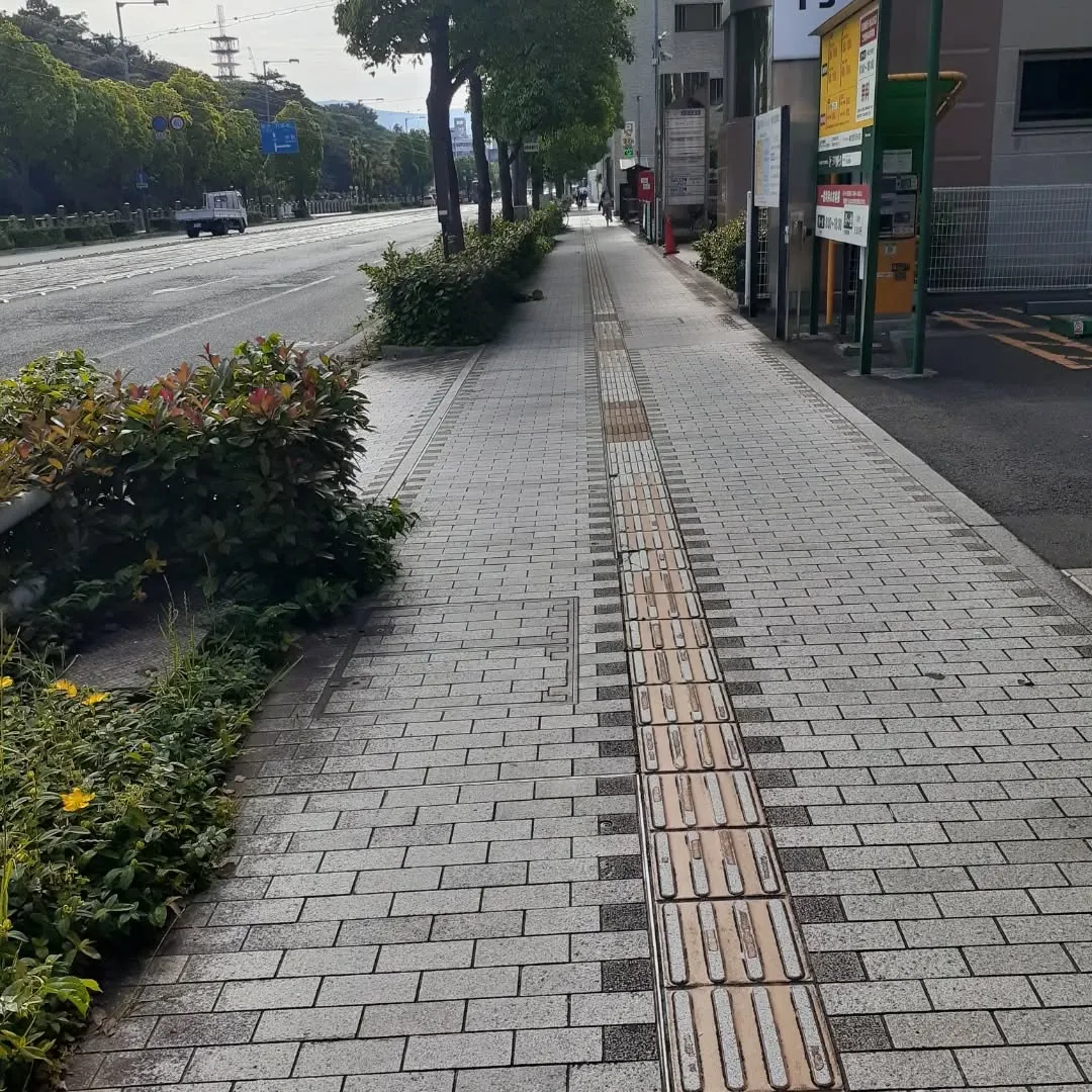 松山市のお堀を朝さんぽ