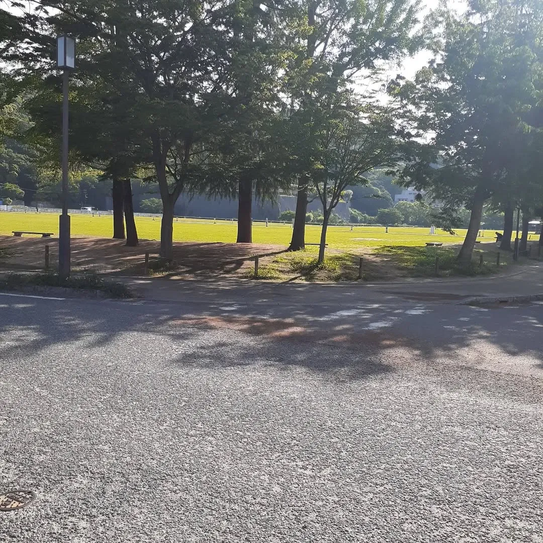 松山市のお堀を朝さんぽ