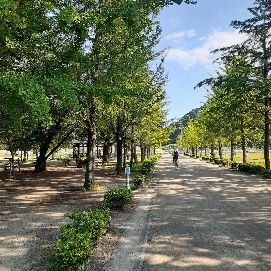 松山市のお堀を朝さんぽ