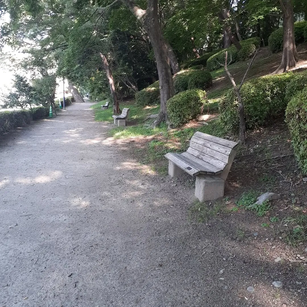松山市のお堀を朝さんぽ