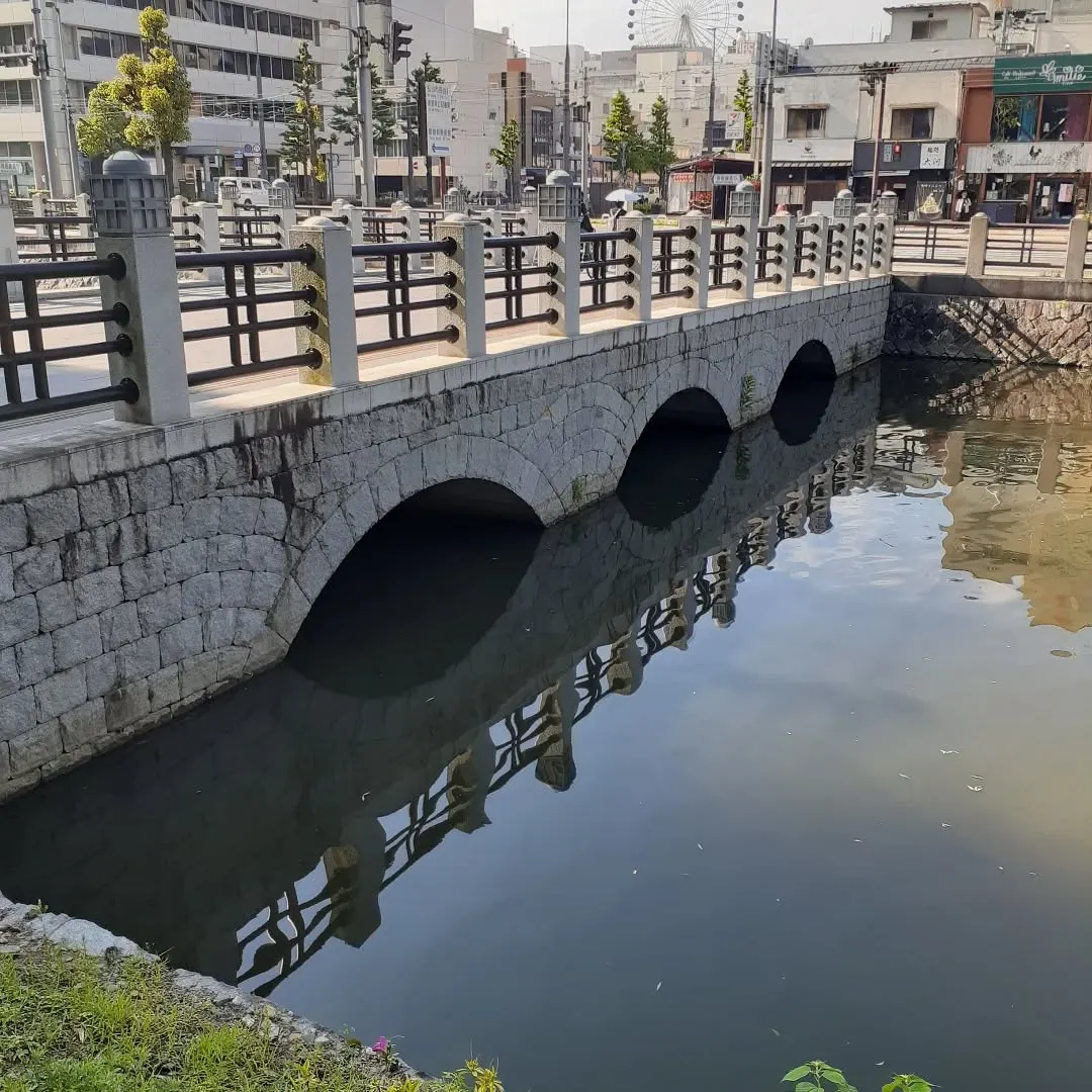 松山市のお堀を朝さんぽ