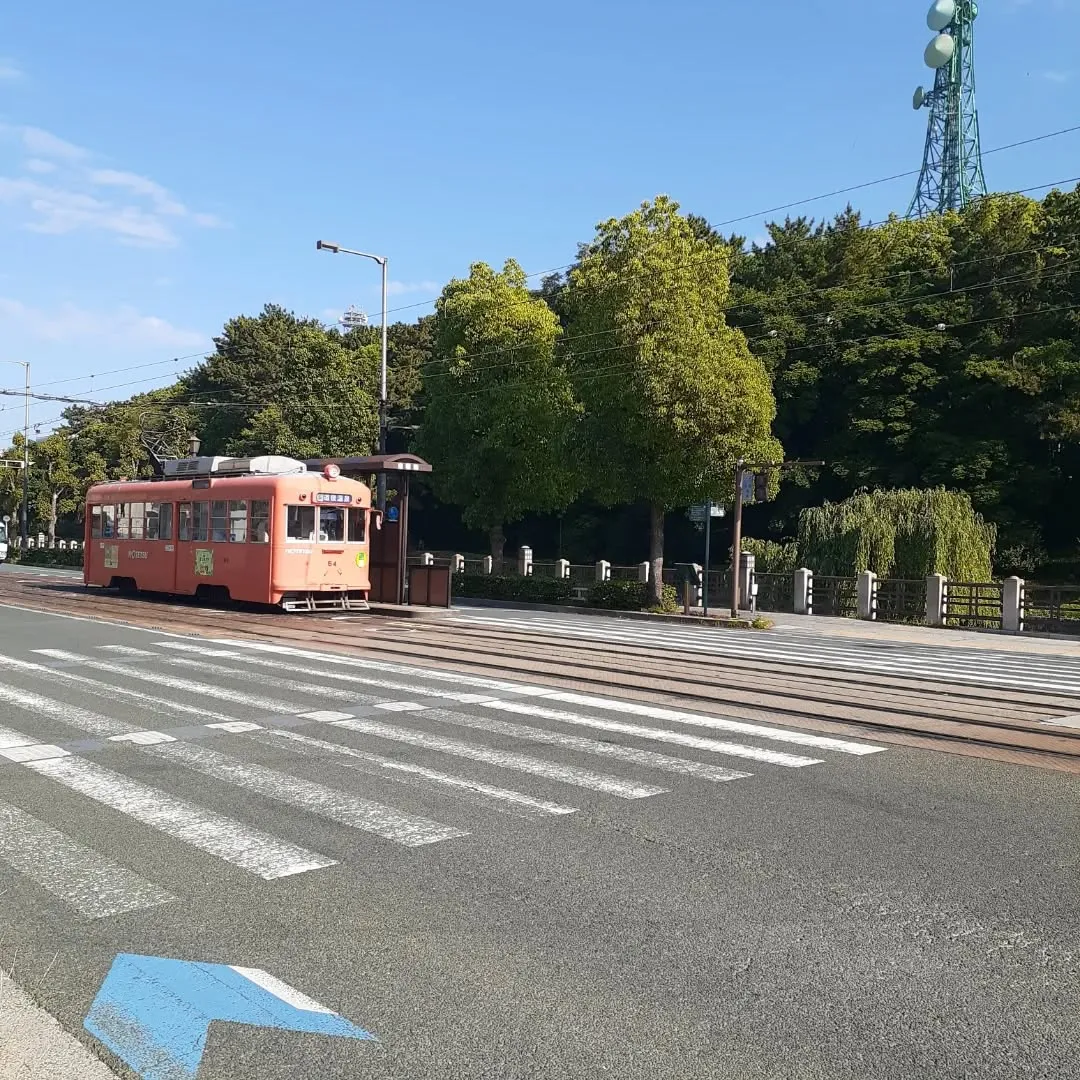 松山市のお堀を朝さんぽ