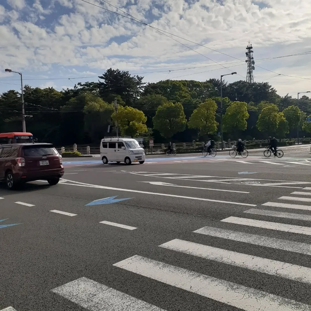 松山市のお堀を朝さんぽ