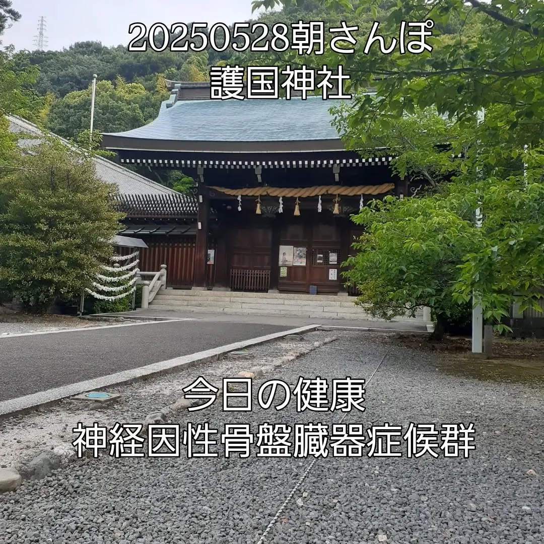 護国神社周囲を朝さんぽ