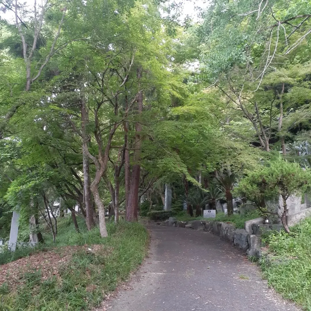 護国神社周囲を朝さんぽ