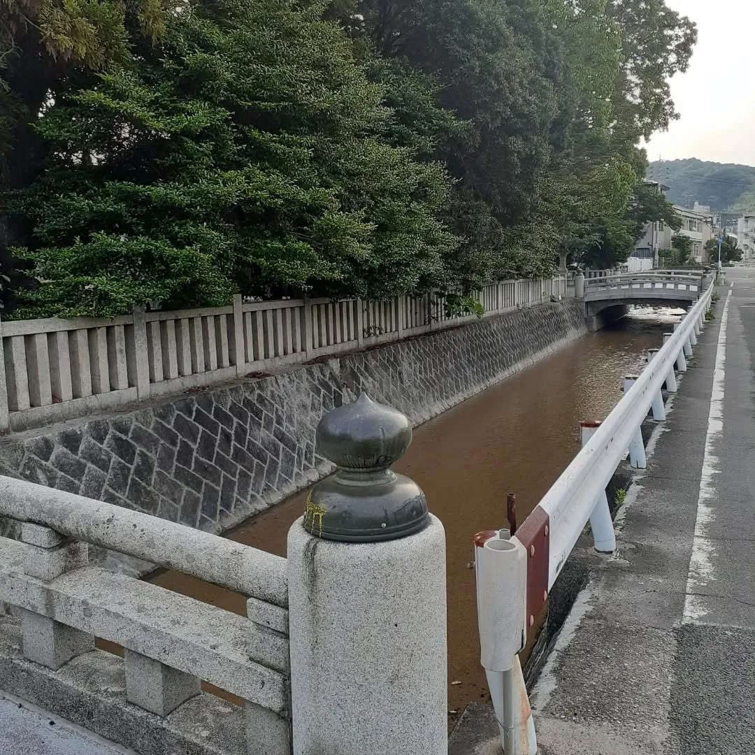 護国神社周囲を朝さんぽ
