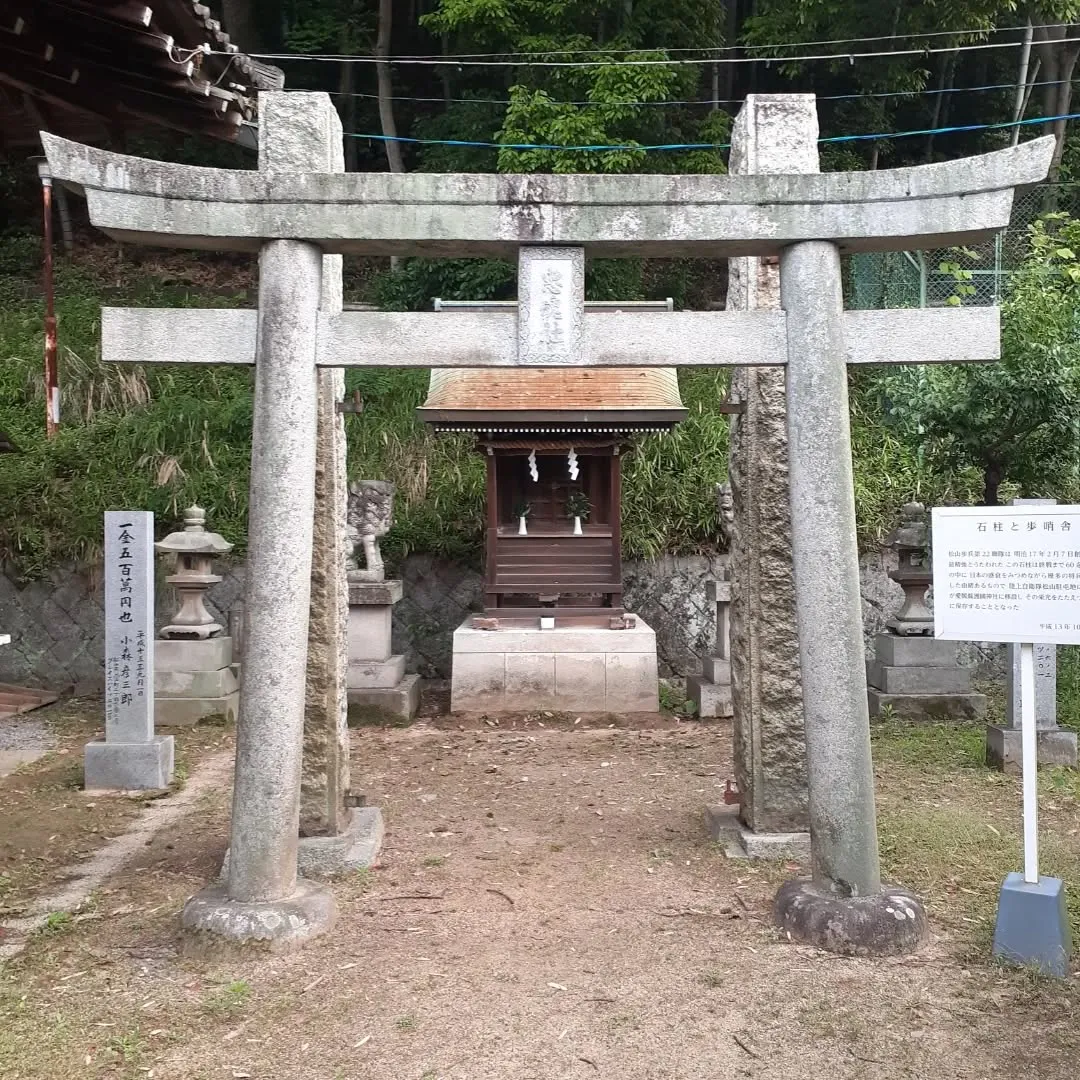 護国神社周囲を朝さんぽ