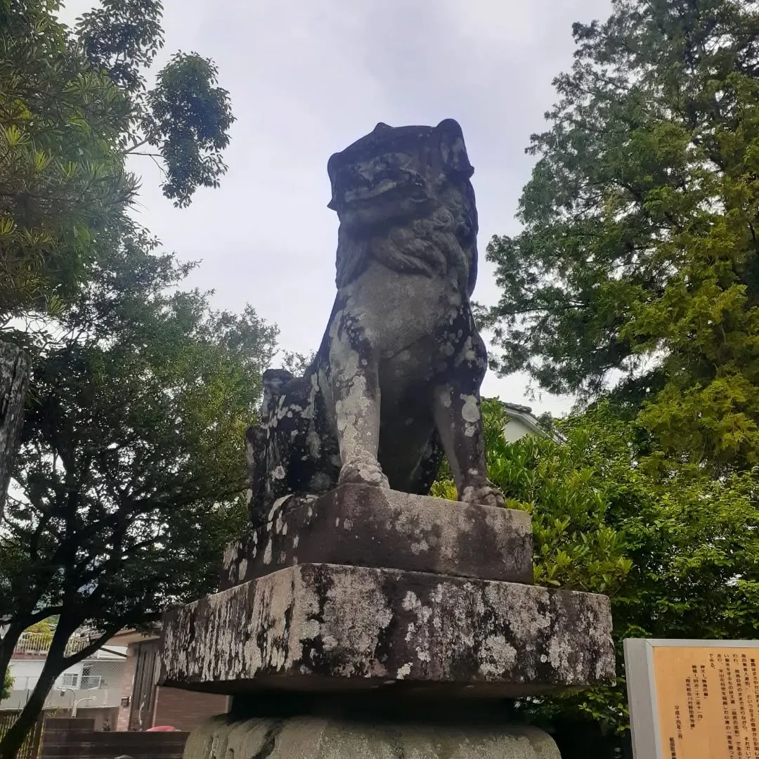 砥部町大宮八幡宮を朝さんぽ