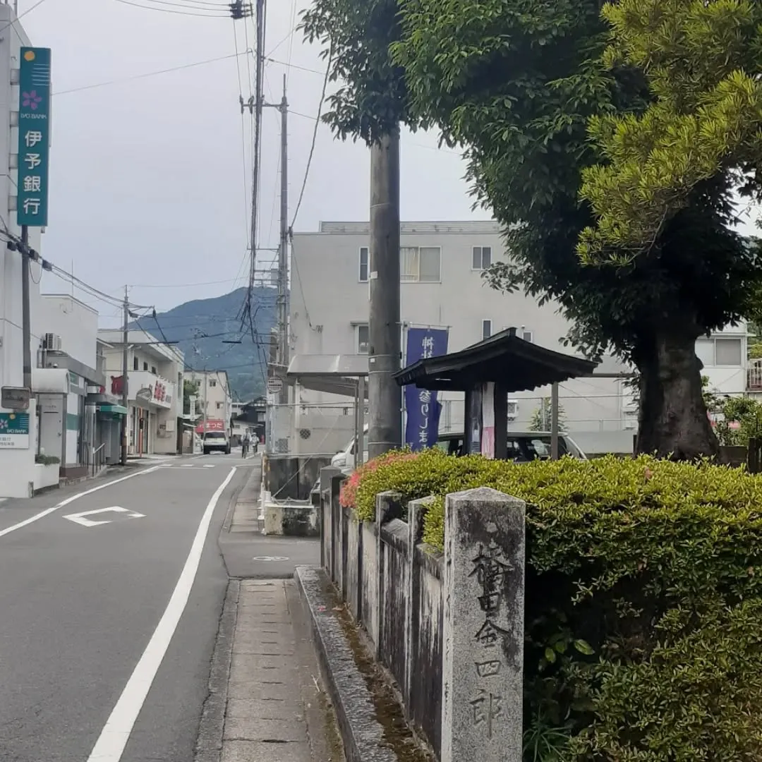 砥部町大宮八幡宮を朝さんぽ