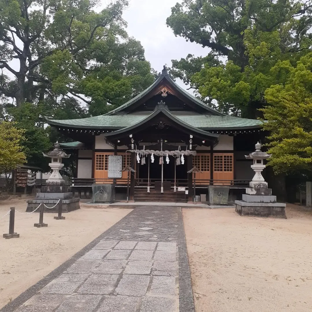 砥部町大宮八幡宮を朝さんぽ