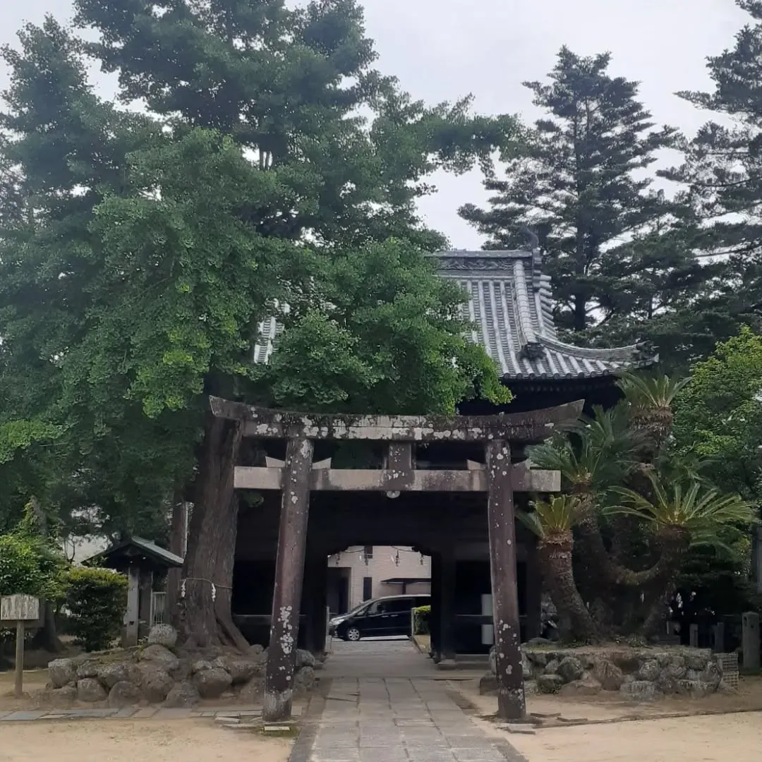 砥部町大宮八幡宮を朝さんぽ