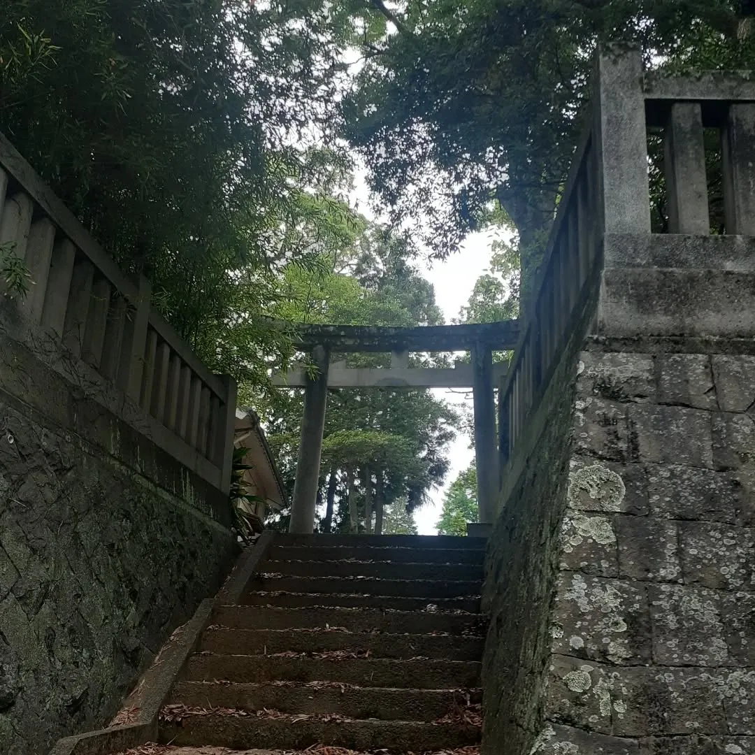 砥部町大宮八幡宮を朝さんぽ