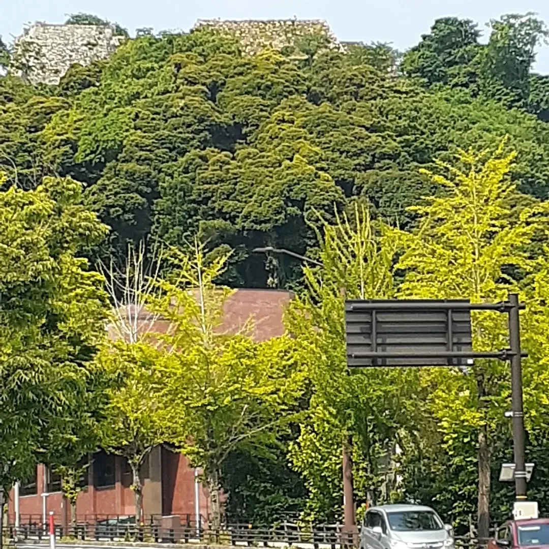 鳥取県米子市を朝さんぽ