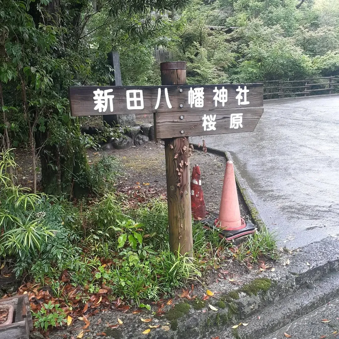 少し雨が降っている中、小田町に向かう途中にあった新田八幡神社...