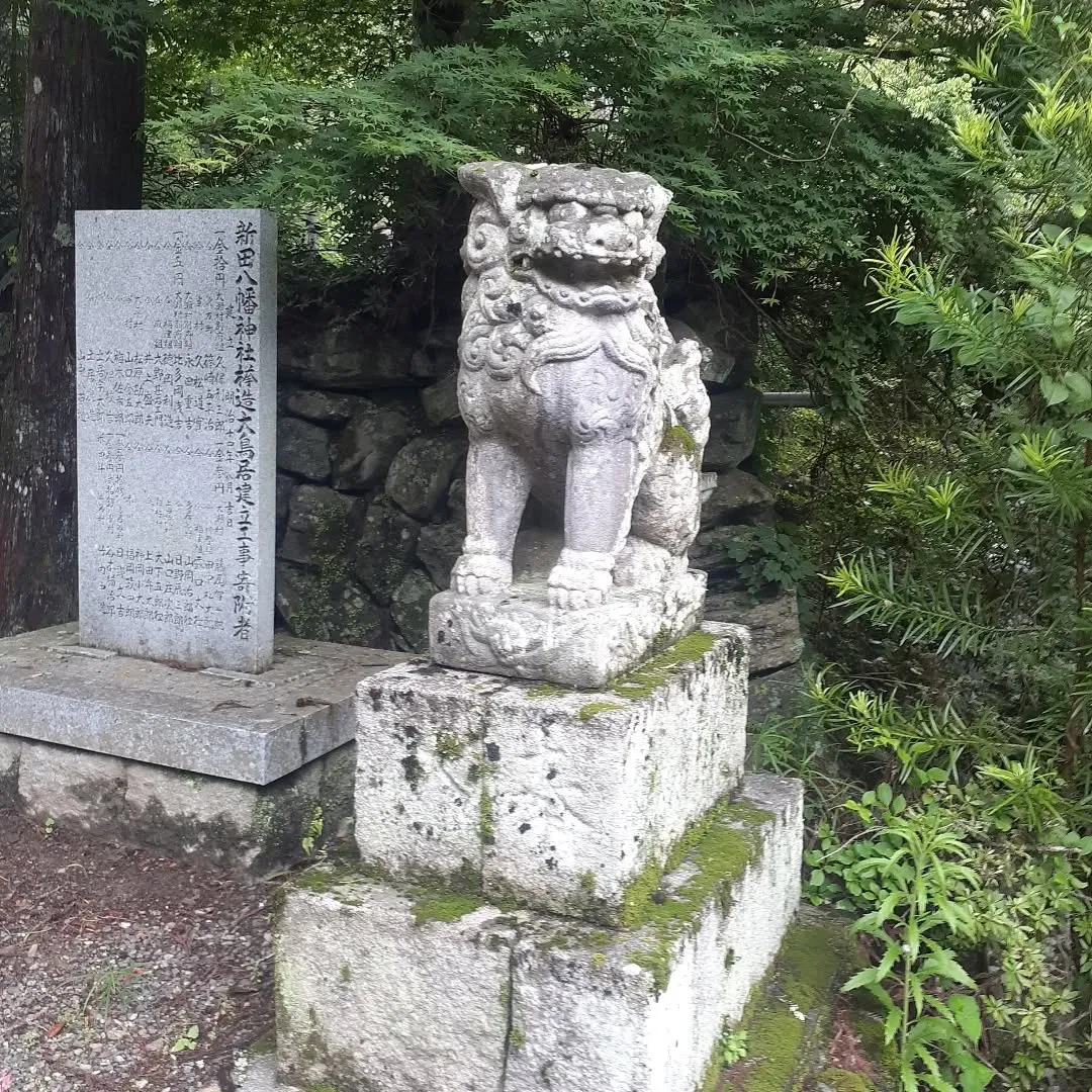 少し雨が降っている中、小田町に向かう途中にあった新田八幡神社...