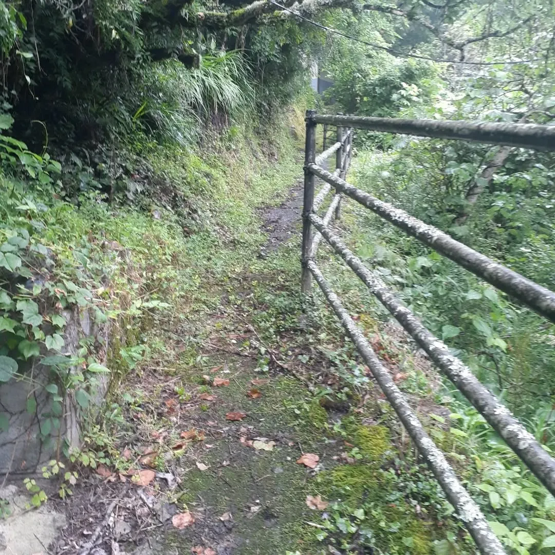 少し雨が降っている中、小田町に向かう途中にあった新田八幡神社...