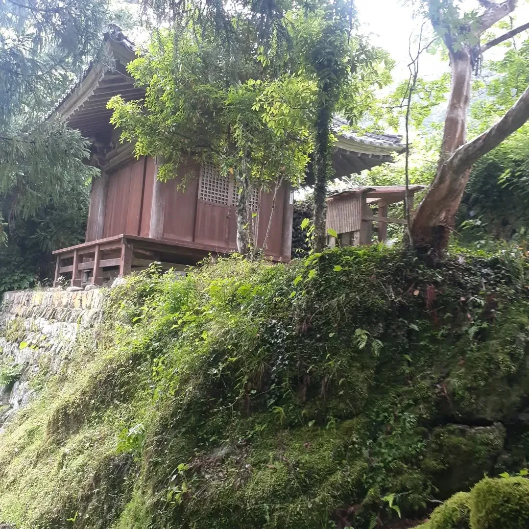 少し雨が降っている中、小田町に向かう途中にあった新田八幡神社...