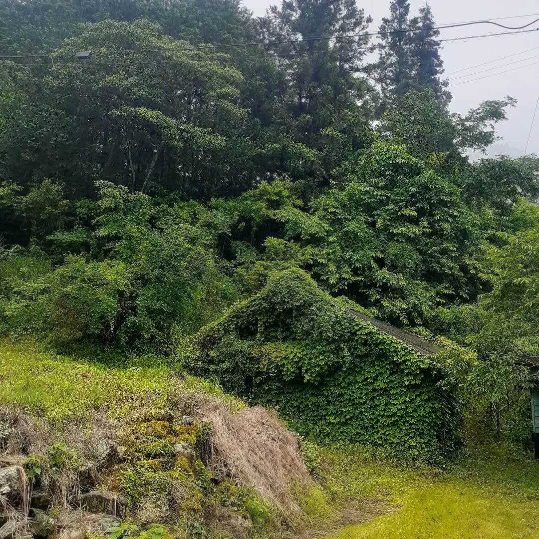 少し雨が降っている中、小田町に向かう途中にあった新田八幡神社...