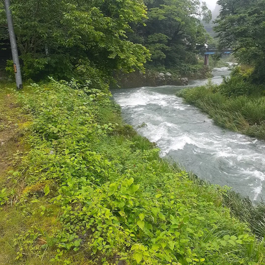 少し雨が降っている中、小田町に向かう途中にあった新田八幡神社...